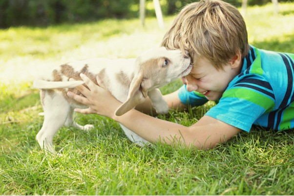 Stress Awareness Week; How Animals Reduce Stress in Humans