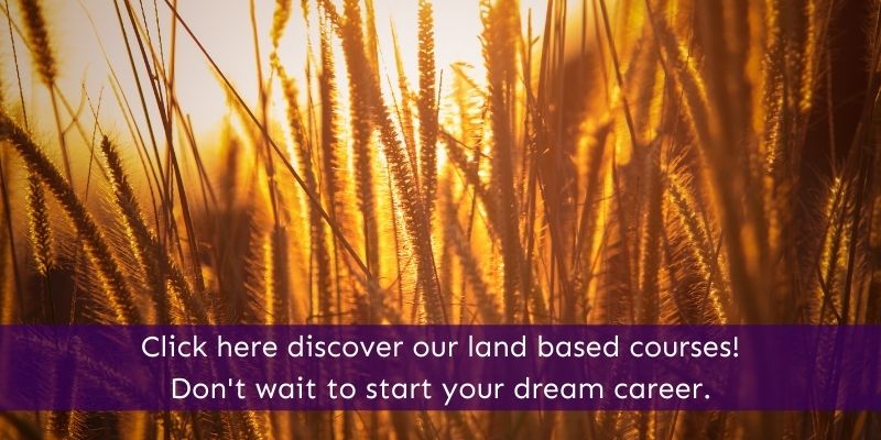 Land Based Online Courses Animal Courses Direct