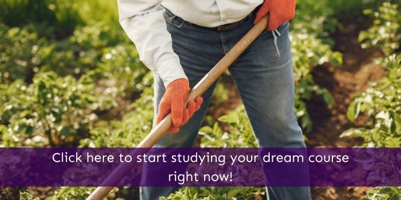 Farm Animal Studies Online Courses Animal Courses Direct