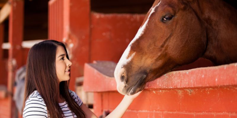 Animal Assisted Intervention with Horse