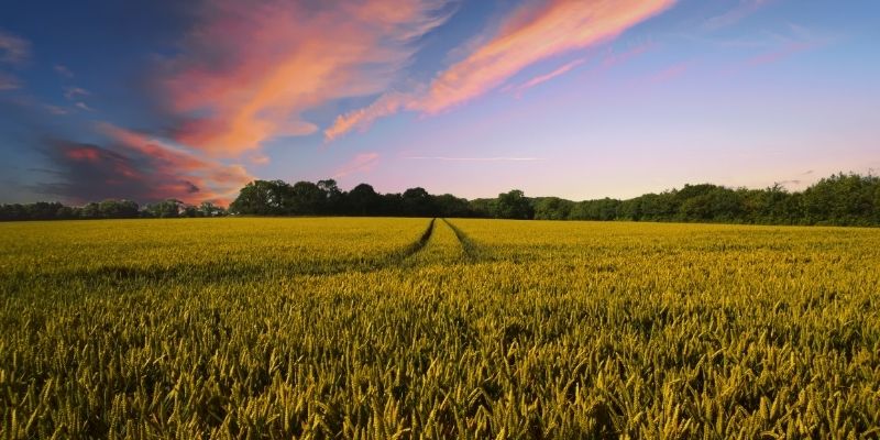 Fascinating Facts About the Benefits of Farming