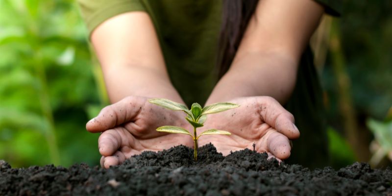 Fascinating and Important Facts About Conservation
