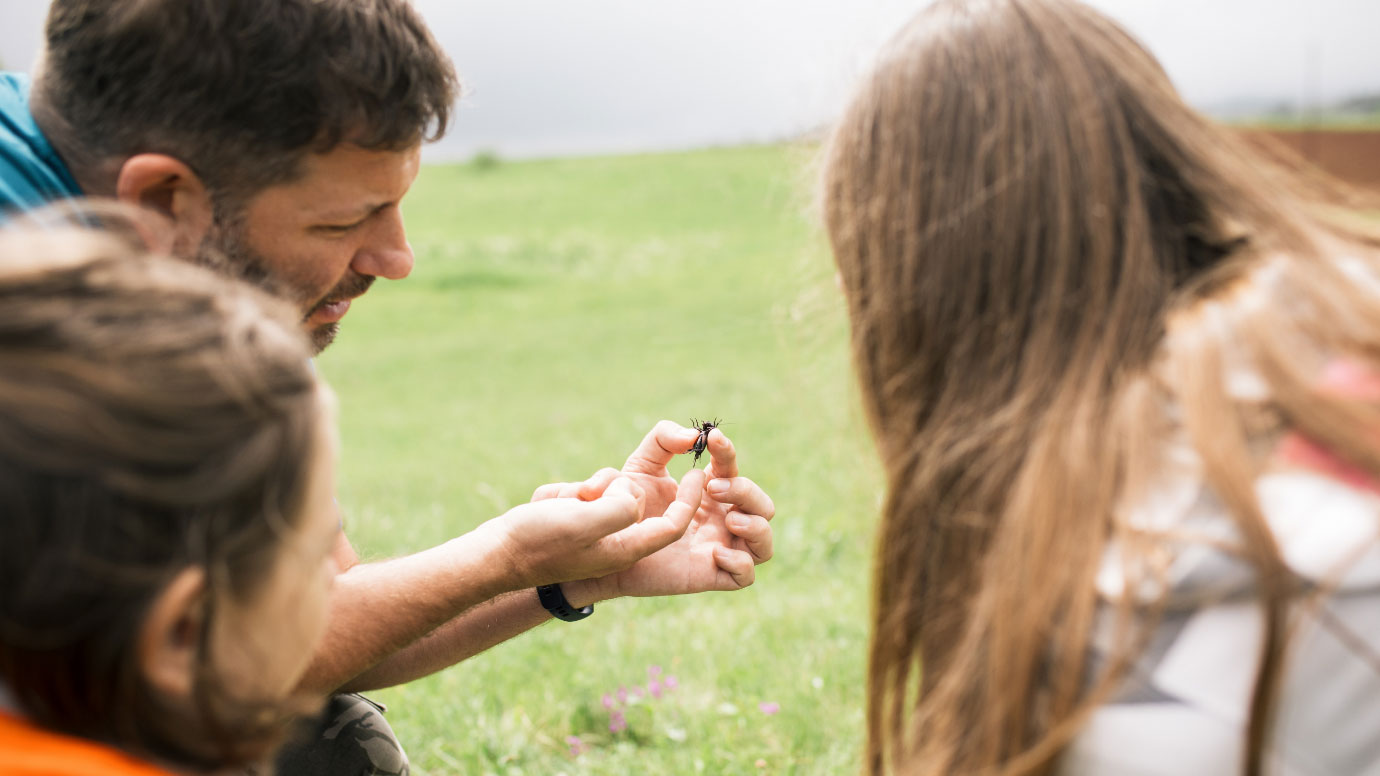 How to lead a forest school