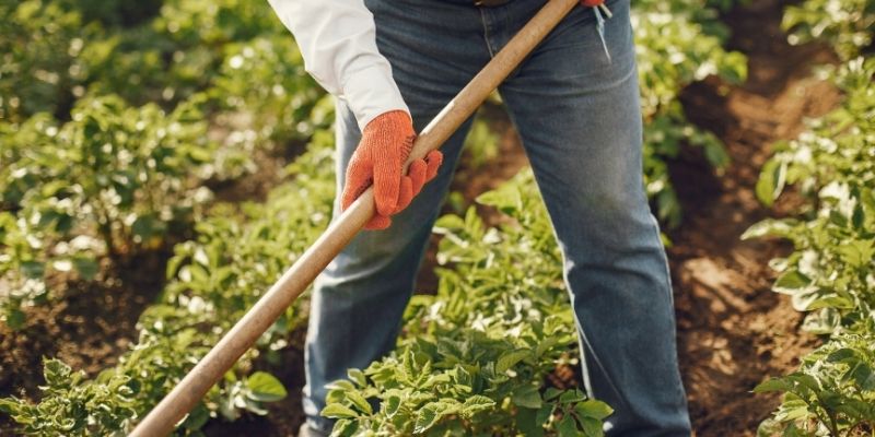 Land Based Studies Online Courses