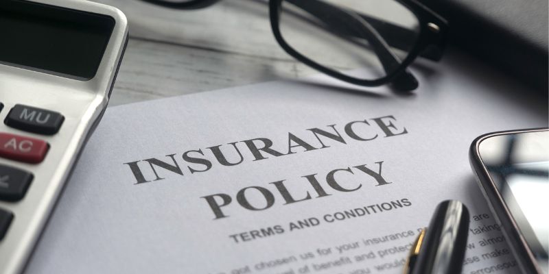 Insurance and checks for a Canine Massage Therapist