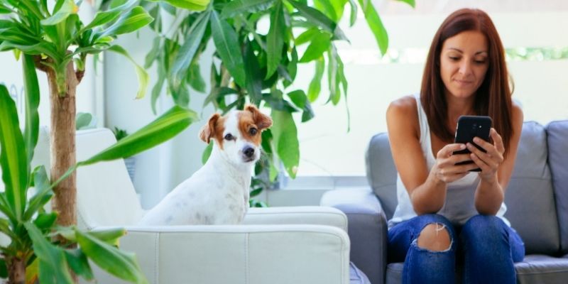 Veterinary Receptionist Courses
