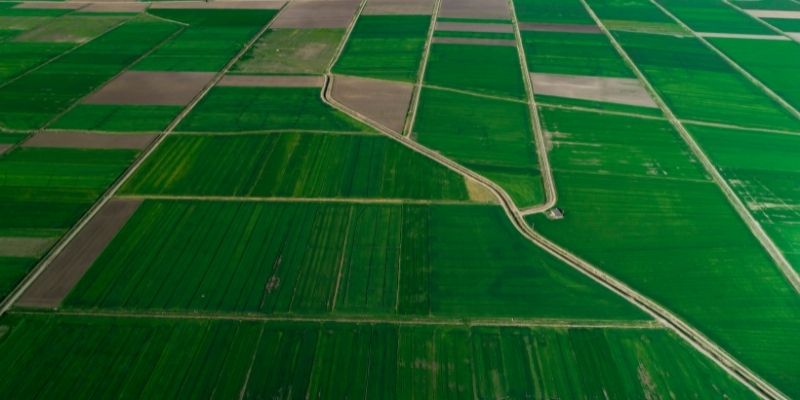 Why You Should Complete Land Based Studies