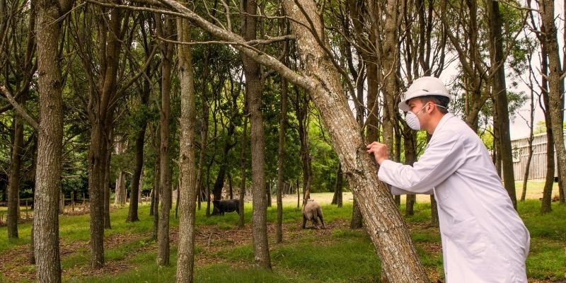 Your Animal Conservation questions answered