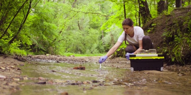 online animal conservation courses