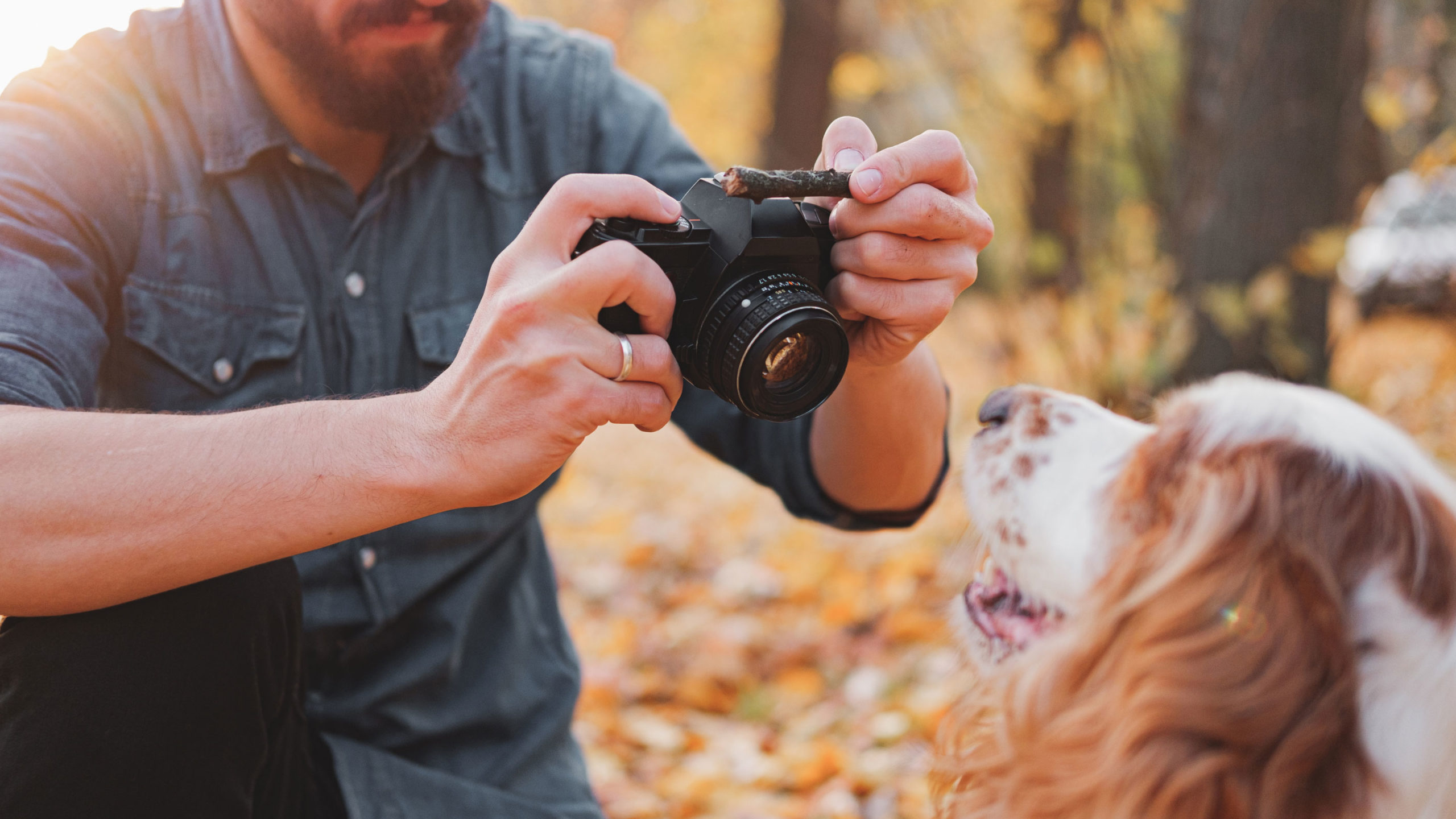 Level 3 Award in Pet Photography with 1 Day Practical