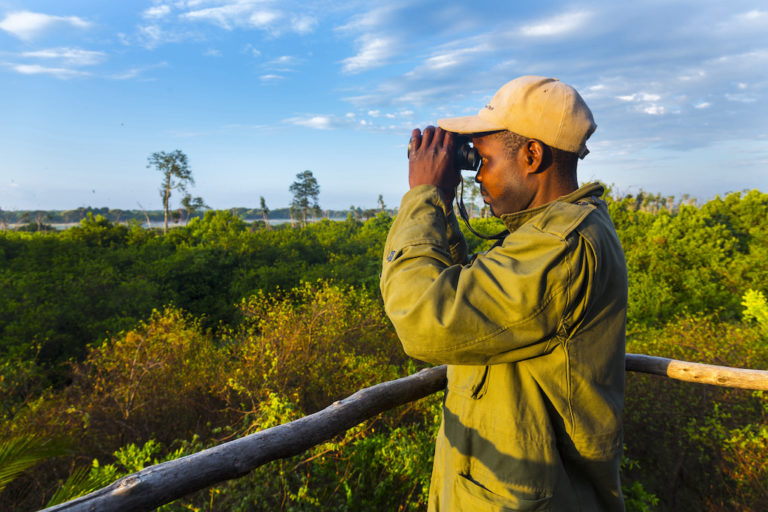 Level 3 Diploma in Sustainable Wildlife Conservation and Biodiversity Management