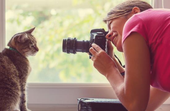 Level 3 Award in Pet Photography with 1 Day Practical