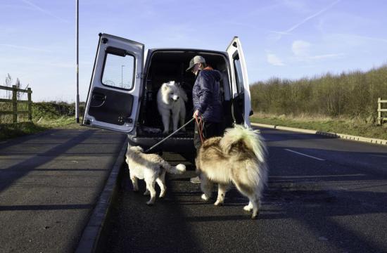 Level 3 Award in Companion Animal Transportation