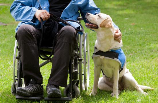 Level 3 Diploma in Assistance Canine Training